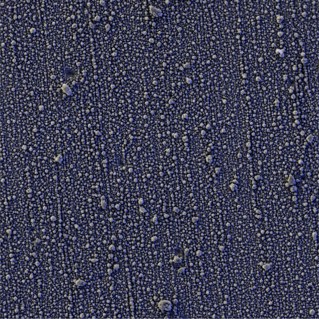 2차 전지